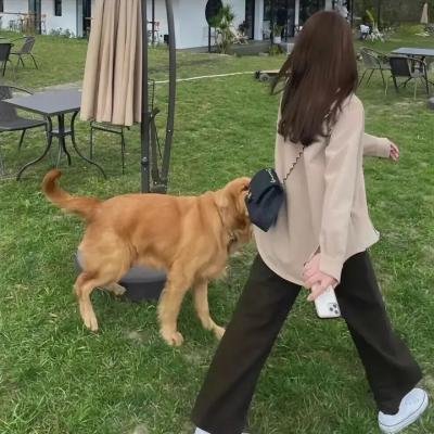 最可爱的人